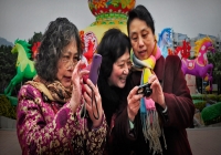 賞燈攝迷