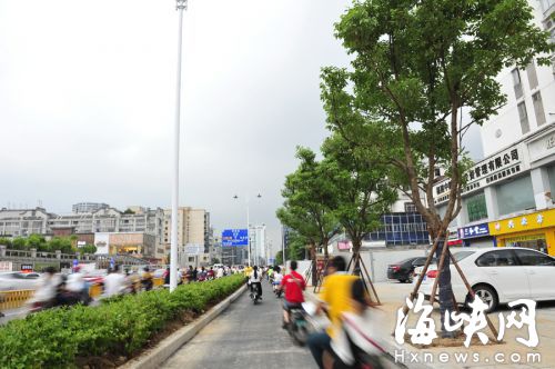 八一七路兩側(cè)種樟樹，非機動車道與機動車道間設(shè)分車帶