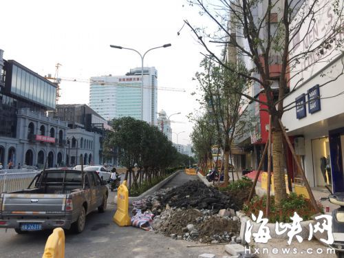 分車帶上的行道樹略矮，人行道上的行道樹較高