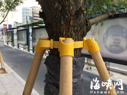 新型護木扣環，可以更好保護新栽樹木