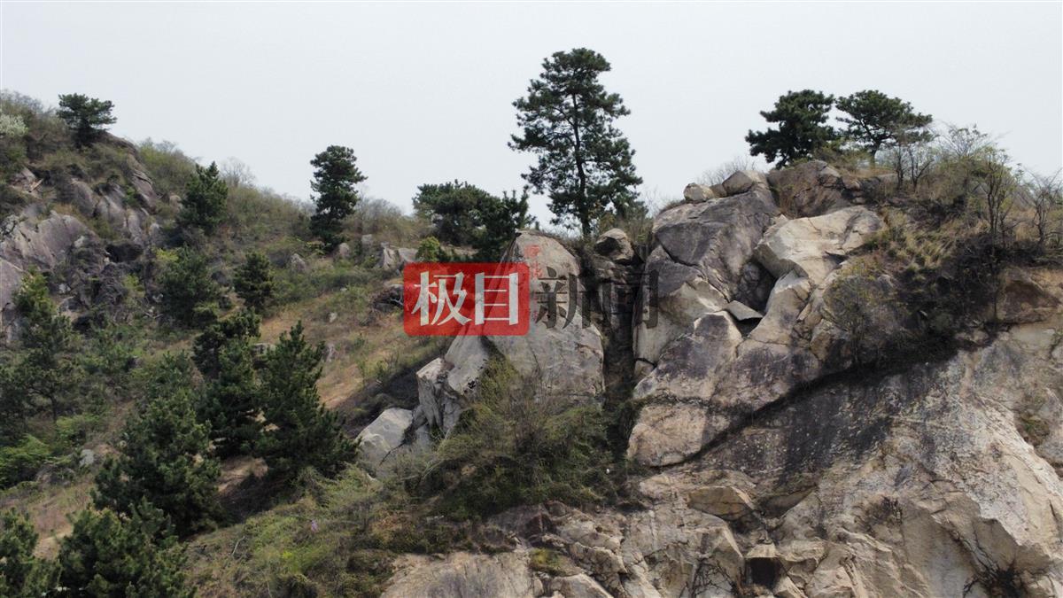 蚌埠一公司租千畝山林建生態園，卻違規建96座墓穴出售，官方：多人已被判刑或處分