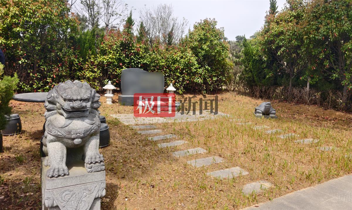 蚌埠一公司租千畝山林建生態園，卻違規建96座墓穴出售，官方：多人已被判刑或處分