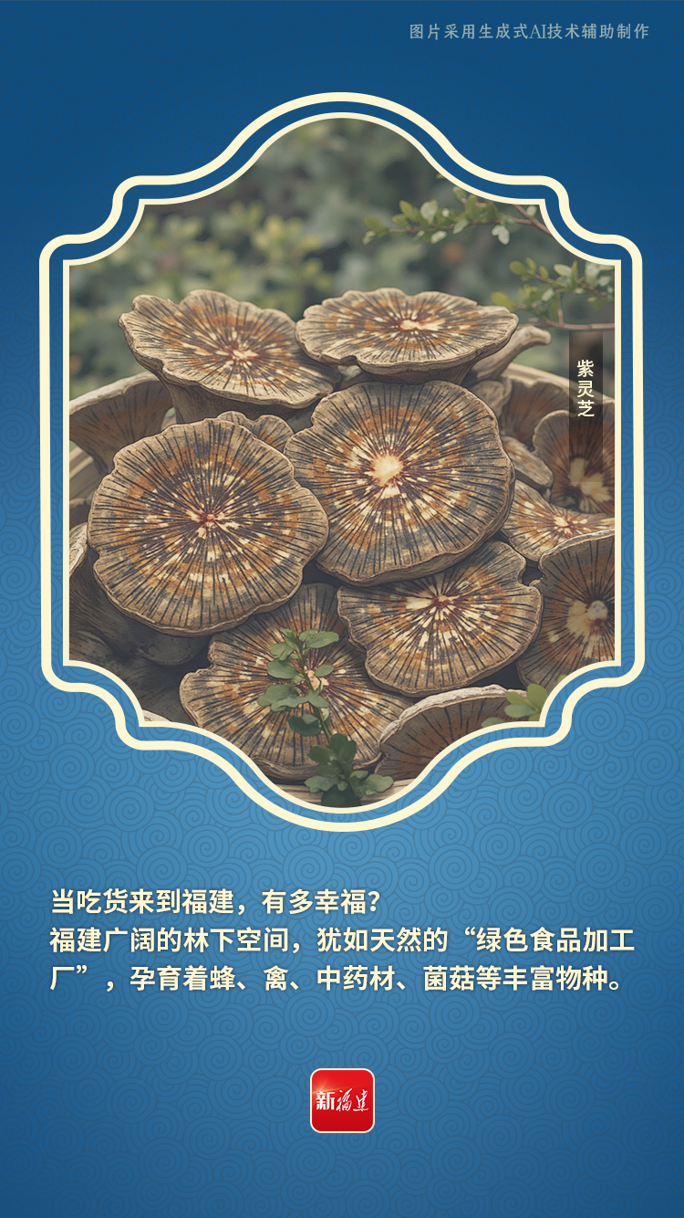 福建，很優秀！