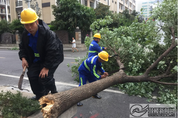 東街街道街道城管中隊和環衛站工作人員對沿街倒伏在地的行道樹第一時間進行搬離.png